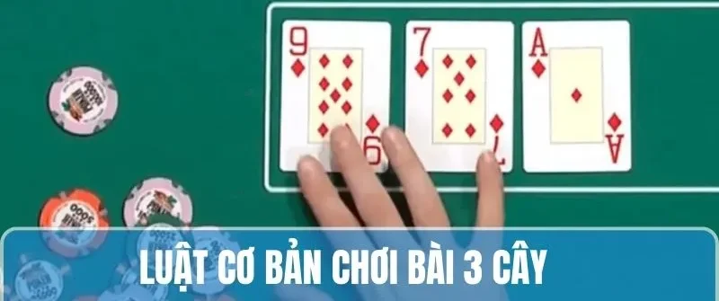 Chơi Bài 3 Cây - Tìm Hiểu Luật Cùng Quy Tắc Trên 78win 6 Tìm hiểu luật đánh cơ bản khi chơi bài 3 cây